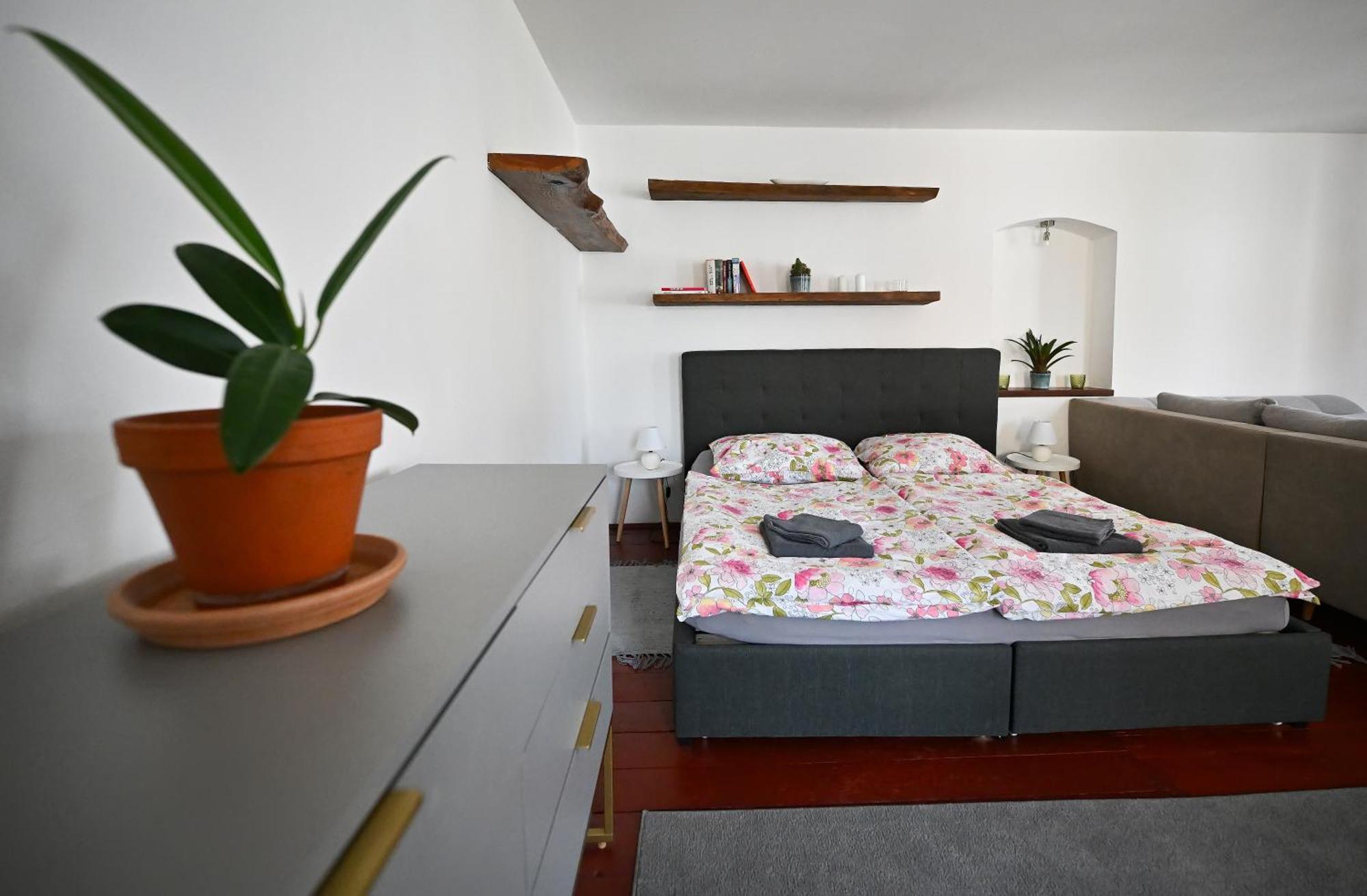 Apartman U Spinaru Trest Ngoại thất bức ảnh